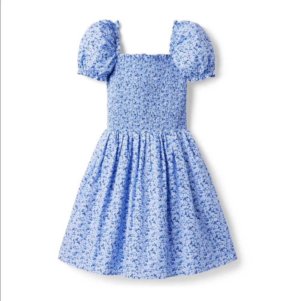 Janie and Jack Blue Mist Floral Grace dress size 12